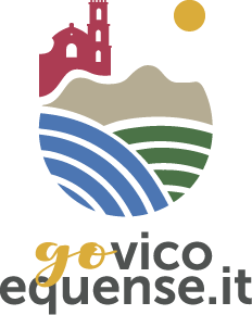 Go Vico